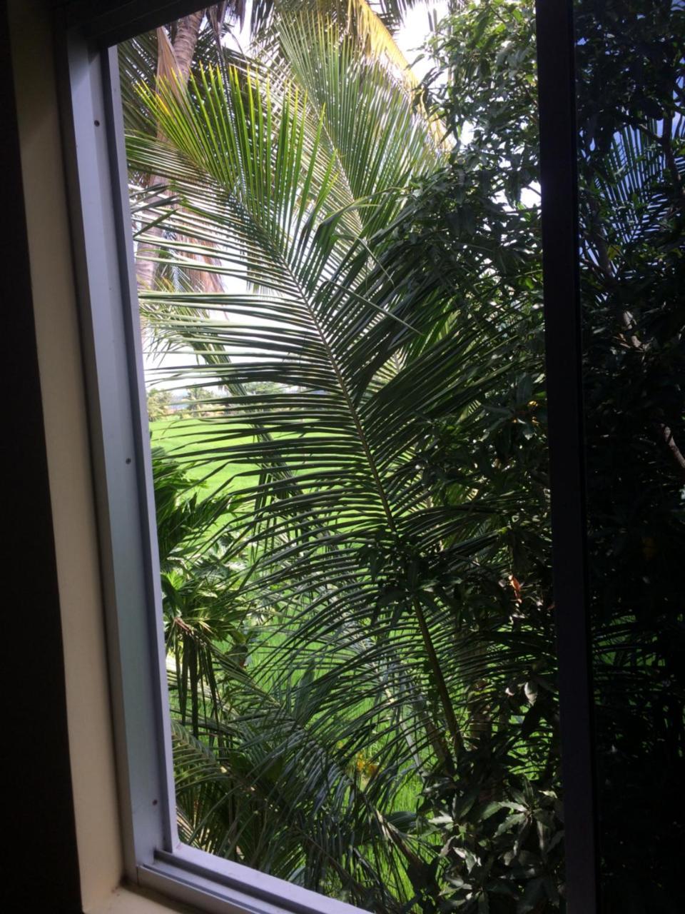 景点酒店 蒂瑟默哈拉默 外观 照片